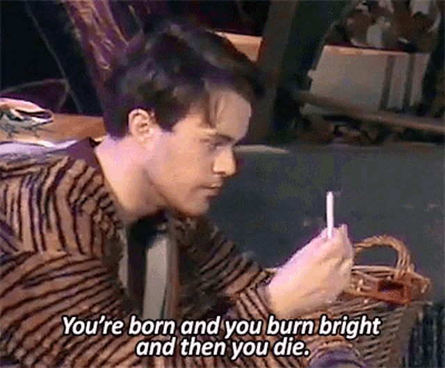 Youre Born And You Burn Bright And Then You Die Joey Batey GIF - Youre Born And You Burn Bright And Then You Die Joey Batey Born GIFs