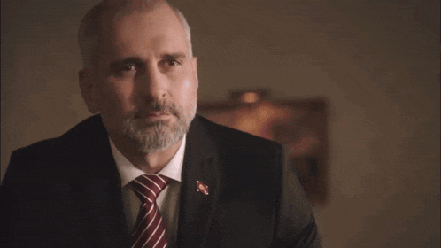 a man with a beard wearing a suit and tie with a red pin on his lapel