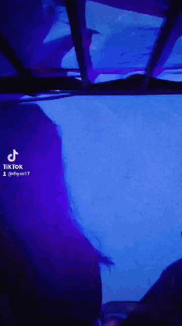 a person is standing in front of a blue light and a purple light behind them .
