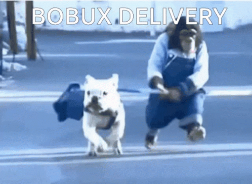 Bobux Delivery GIF - Bobux Delivery Bobuxdelivery GIFs