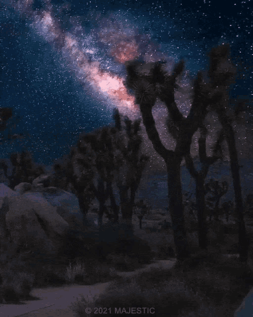 Cielo Estrellado Noche GIF