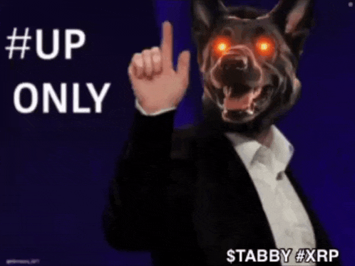 a man in a suit with a dog mask pointing up with the words #up only behind him