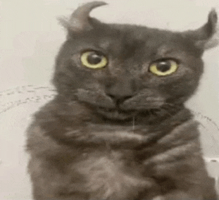 a gray cat with horns and yellow eyes is sitting on a white surface .