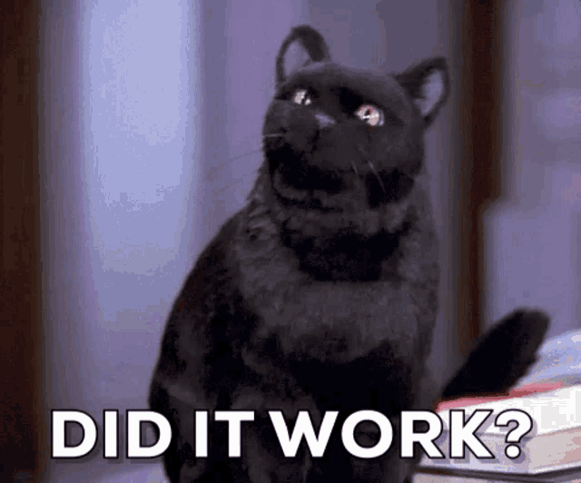 a black cat is sitting on top of a pile of books and looking up at the camera .