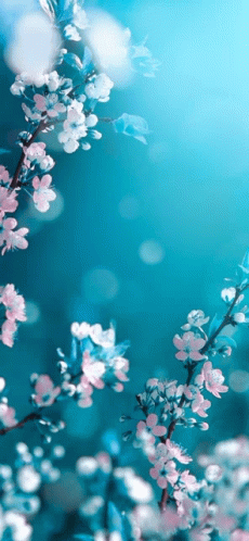 Spring Flowers GIF - Spring Flowers GIFs
