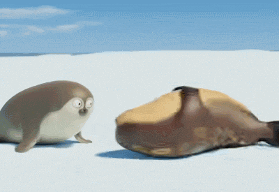 two seals standing next to each other on a snowy surface