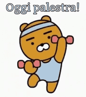 a cartoon teddy bear is lifting dumbbells with the words oggi palestra in the background .