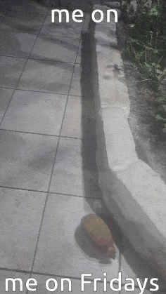 a picture of a shadow on a sidewalk with the words me on me on fridays below it