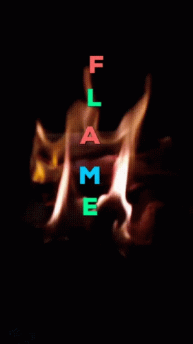Burn Flame GIF - Burn Flame Fire GIFs
