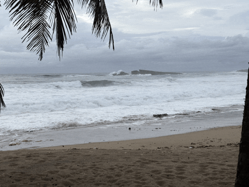 a beach with a palm tree in the foreground and waves crashing against the shore