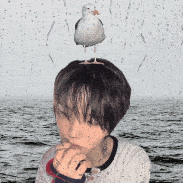 a person with a bird on their head