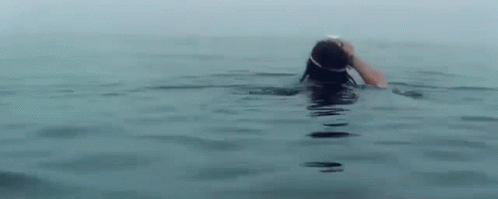 Beer Swimming GIF - Beer Swimming Norrland GIFs