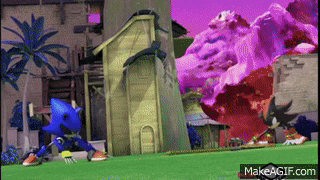 sonic the hedgehog and shadow the hedgehog are in a video game