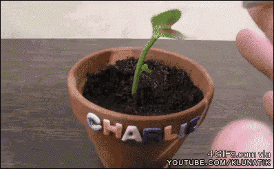 Venus Fly Trap Deal With It GIF - Venus Fly Trap Deal With It Smoke GIFs