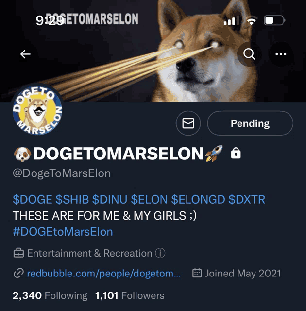 a screenshot of a doge to marselon profile