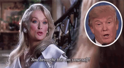 President Trump GIF - Meryl Streep Trump You Brought This On Yourself GIFs