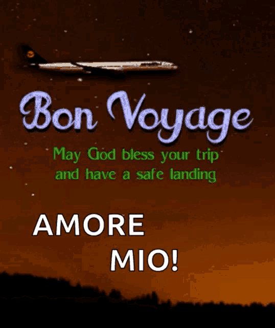 a picture of an airplane with the words bon voyage may god bless your trip and have a safe landing amore mio
