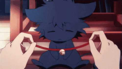 a person is petting a black cat with a bell on its neck