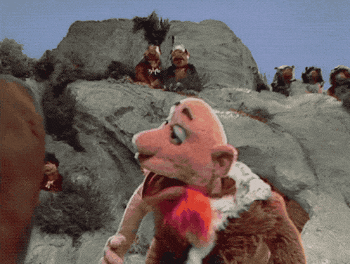 a group of monkeys are standing on a rocky hillside