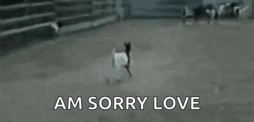 a black and white photo of a goat running in a field with the words `` am sorry love '' .