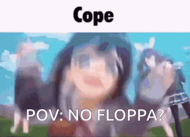 No Floppa Or Flop Flop GIF - No Floppa Or Flop Flop Floppa GIFs