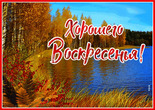 a greeting card with a lake and trees says " хорошего воскресенья "