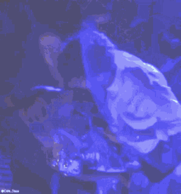 a man is holding a microphone in a dark room with blue lights .