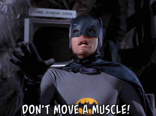 Batman Dont Move A Muscle GIF - Batman Dont Move A Muscle Stop GIFs