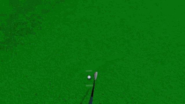 Exvrience Golf GIF