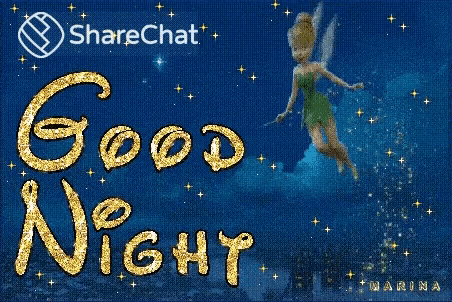 a picture of a fairy with the words good night