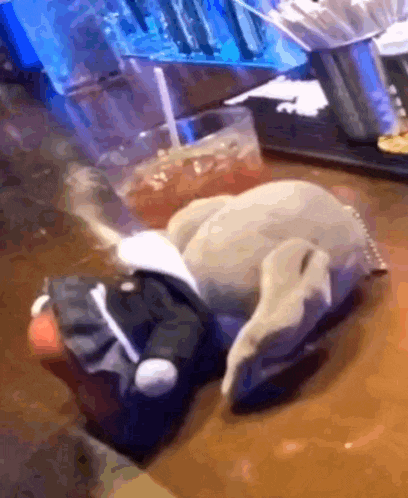 a stuffed animal laying on a table next to a glass