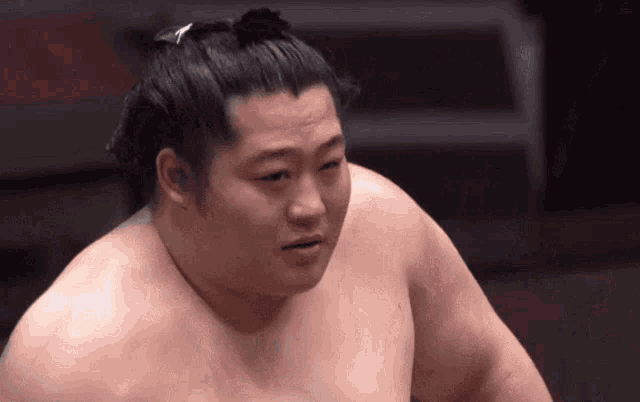 a shirtless sumo wrestler with a bun on his head