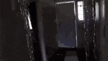 a person is standing in a doorway in a dark room with a reflection of a person in the window .