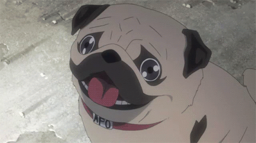 Pug Anime GIF - Pug Anime GIFs