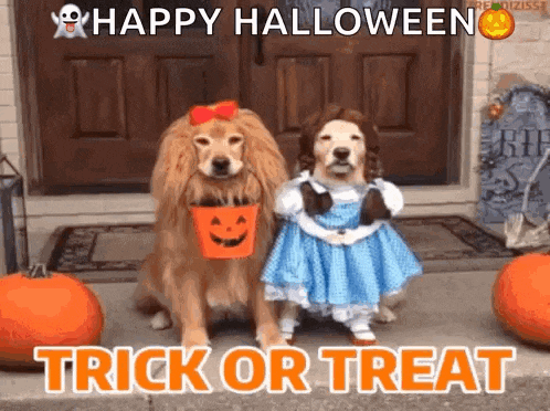 two dogs dressed up for halloween are sitting next to each other on a porch .