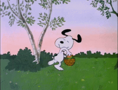 Hunt GIF - Easter Happy Easter Easter Sunday GIFs