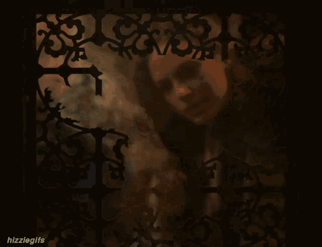 a gif of a woman looking at her reflection with the words hizzlegifs at the bottom