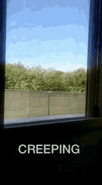 a window with the word creeping written on it