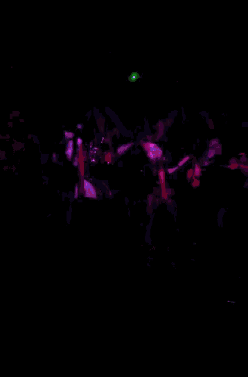a group of people playing instruments in a dark room