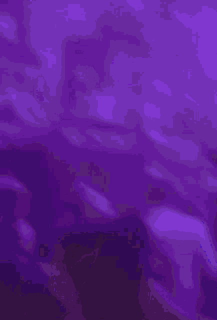 a man and a woman are dancing in a purple light .