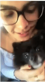 Emilly Araújo Pet GIF - Emilly Araújo Pet Dog GIFs