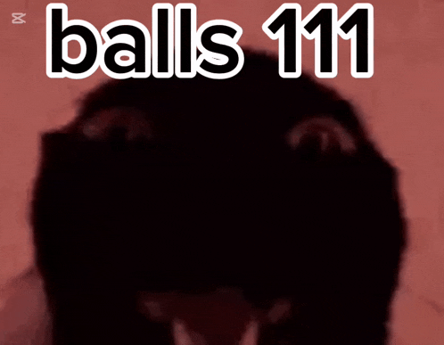 a picture of a dog with the words balls 111 written above it