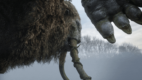 a close up of a large animal 's trunk with a tree branch in it 's mouth