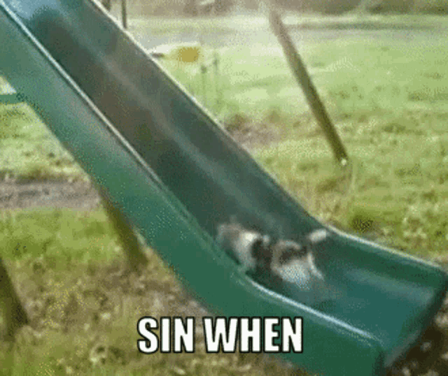 a picture of a slide with the words sin when on it