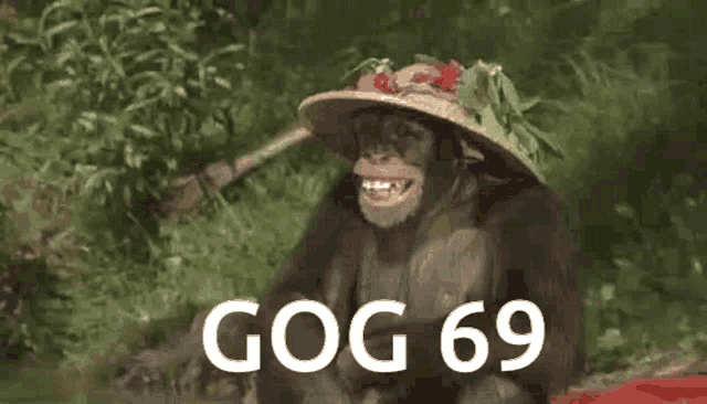 a chimpanzee wearing a hat says gog 69 in white letters