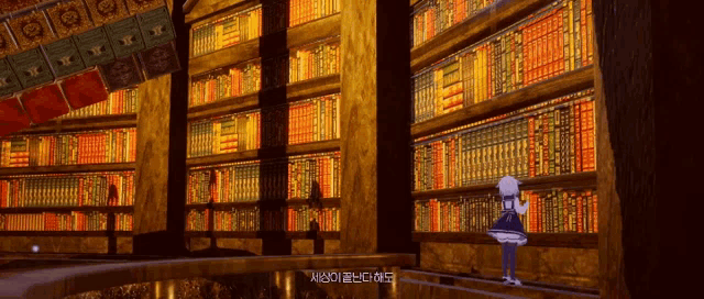 a girl in a blue dress stands in front of a bookshelf with a foreign language written on it