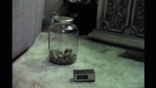 Presenting The World'S Smartest Mouse! GIF - Mouse Animals Rodents GIFs