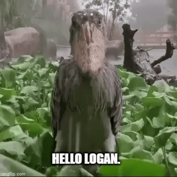 Hello Logan GIF - Hello Logan GIFs