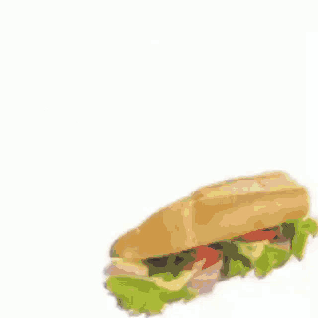 Sandwich Meme GIF - Sandwich Meme Funny GIFs
