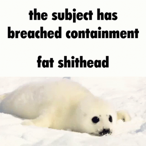 Fat Shithead Seal GIF - Fat Shithead Seal Baby Seal GIFs